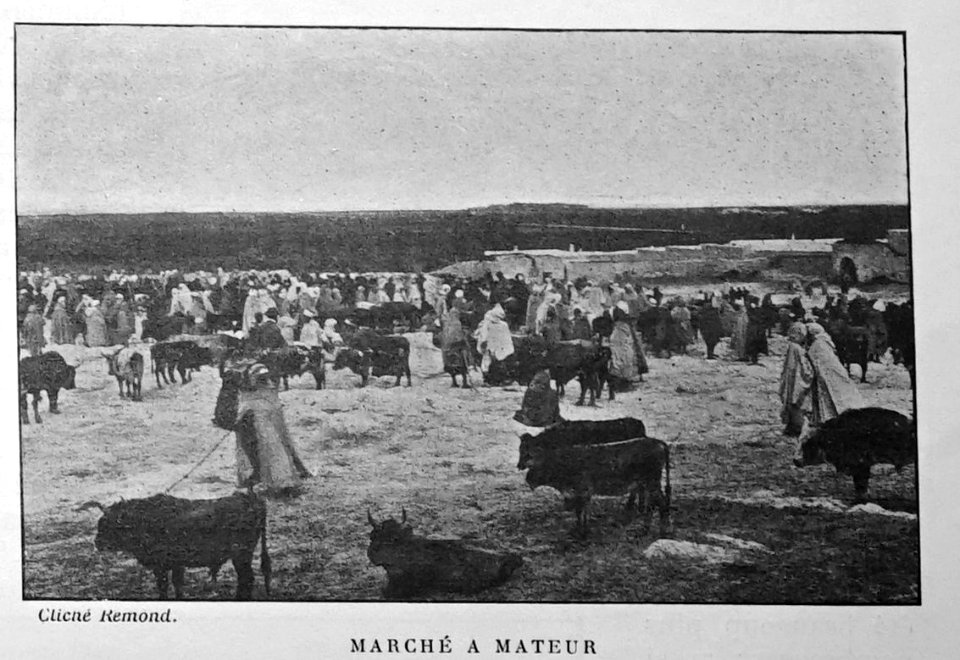 Revue régionale illustrée juin 1900 100302 (troupeau)