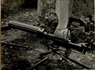 Revolver M.G. (BildID 15547578)