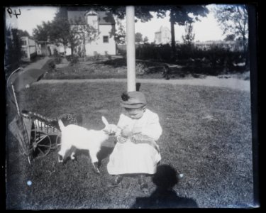 Richmond Hill, Katie and goat LCCN2015647197