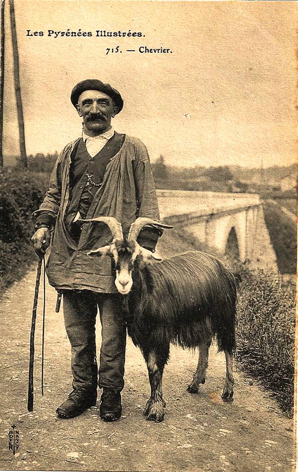Rhune Agropastoralisme Chevrier