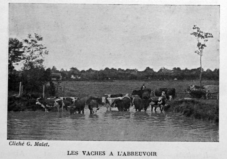 Revue régionale illustrée mars 1901 100494 (abrevoir)