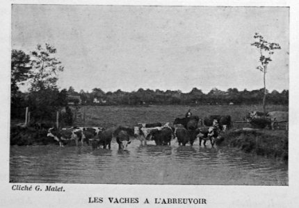 Revue régionale illustrée mars 1901 100494 (abrevoir)
