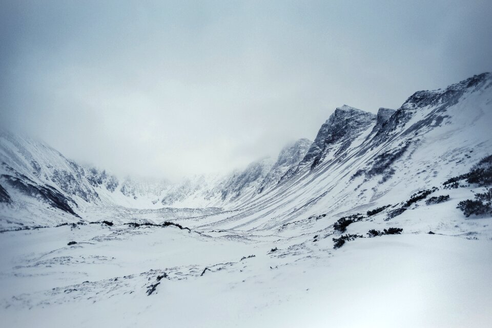 Coldly ice landscape