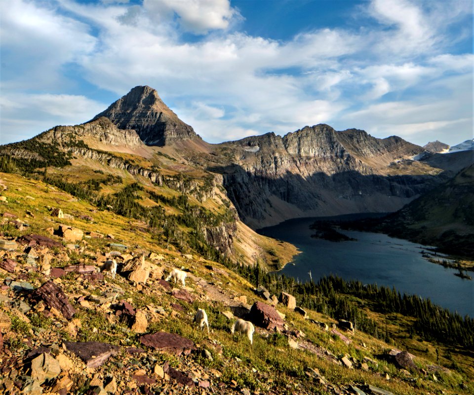 Reynolds Mountain and Dragons Tail