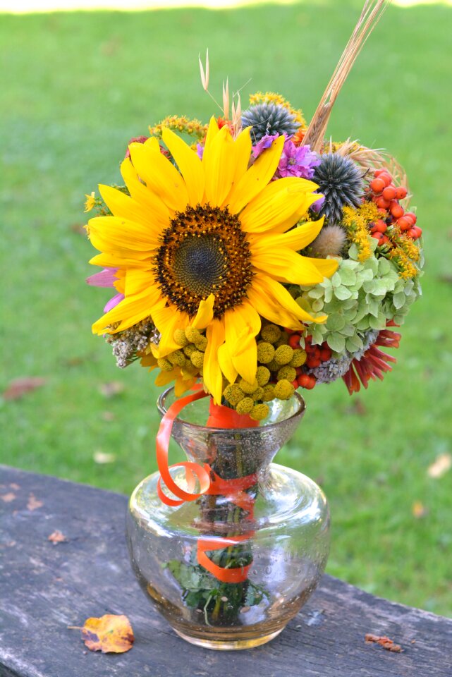 Flowers wildflowers field plant hallow