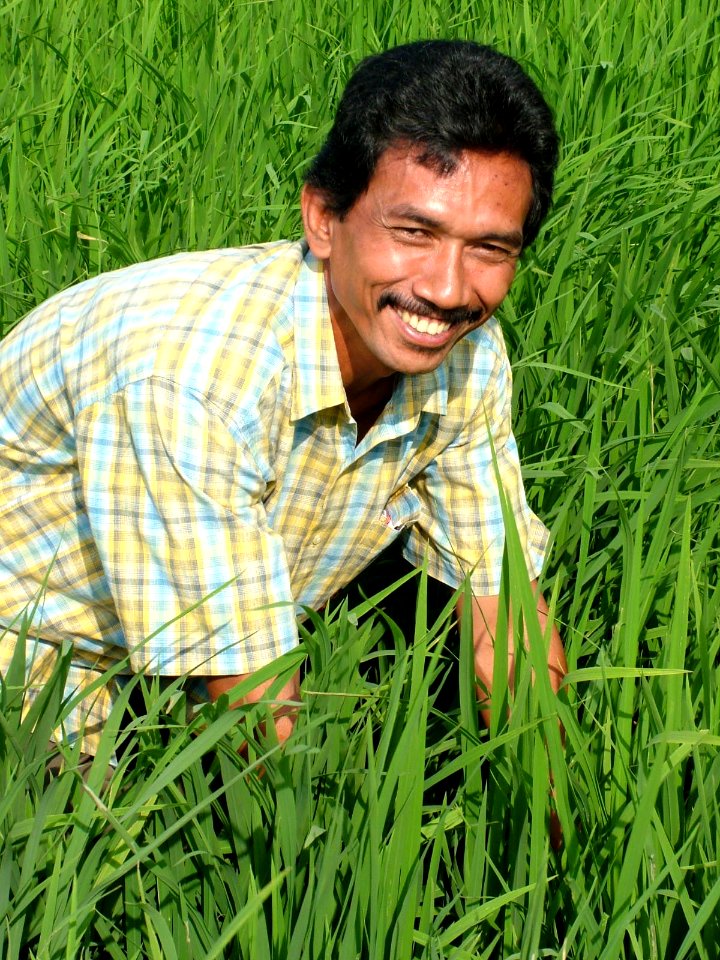 Rice Farmer Aceh (5281430375)