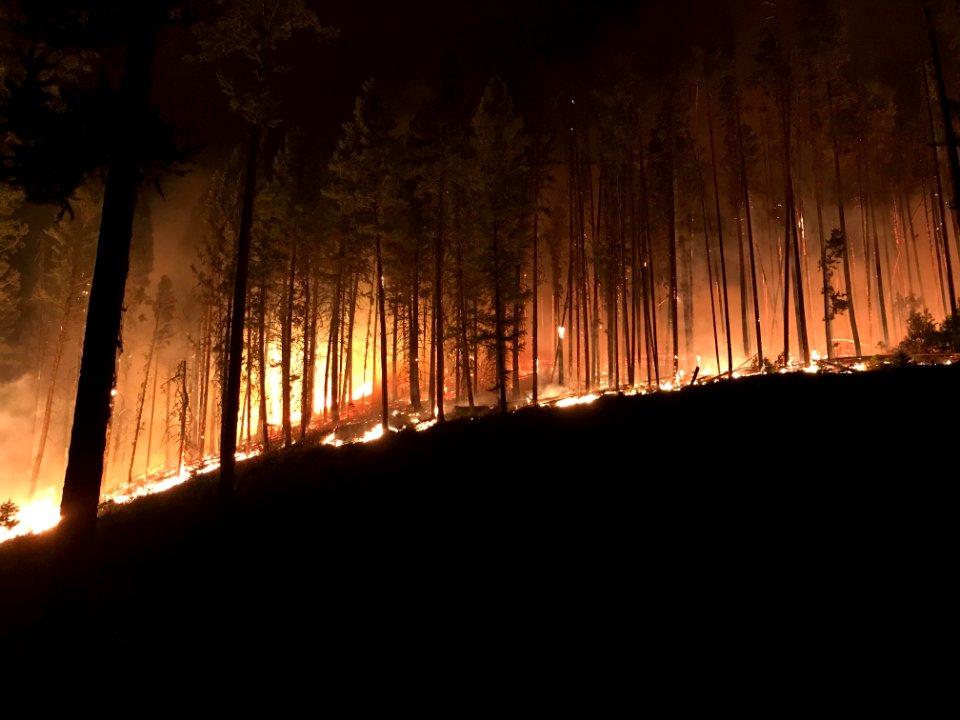 Rice Ridge Fire