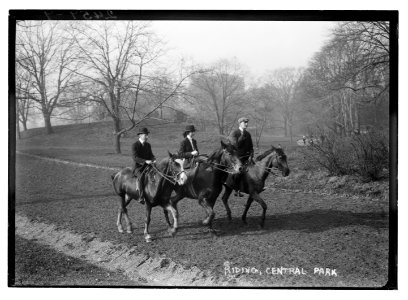 Riding - Central Park LCCN2014690952 photo