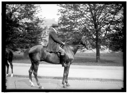 RIDING AND HUNT CLUB. COL. R.M. THOMPSON LCCN2016866353