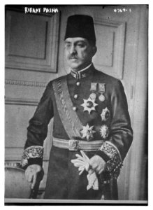 Rifaat Pasha LCCN2014708081
