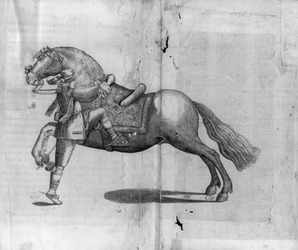 Rider mounting horse - opp. p. 344 LCCN2007677003