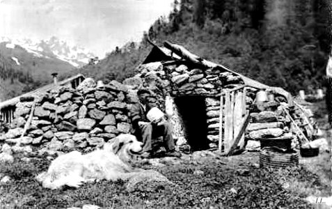 Rhune Agropastoralisme La cabane et le chien du berger