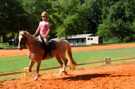 Riding Stables offers entertainment, Family fun (7825525138)