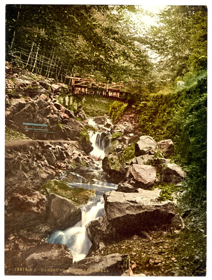Riefenbachsfall, Harzburg, Hartz, Germany-LCCN2002713808