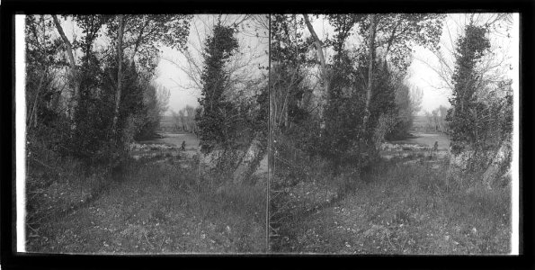 Riera d'Avinyonet i bosc de ribera
