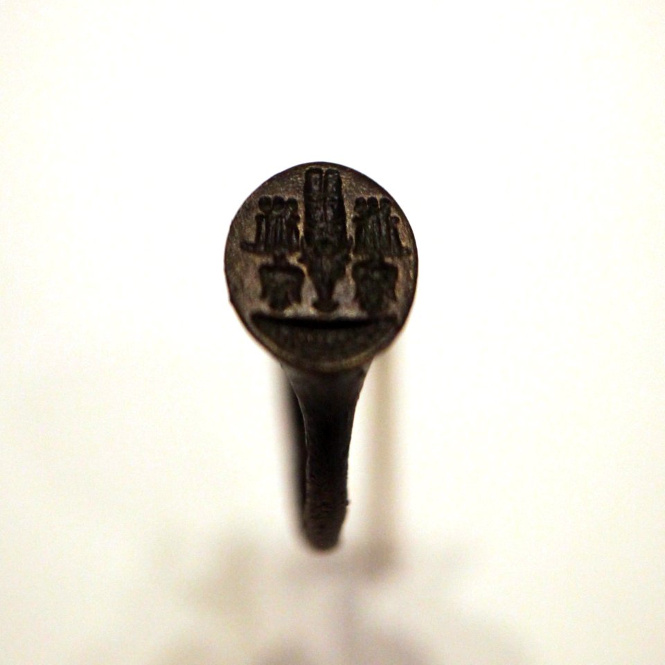 Ring-MAHG 025962-IMG 1932