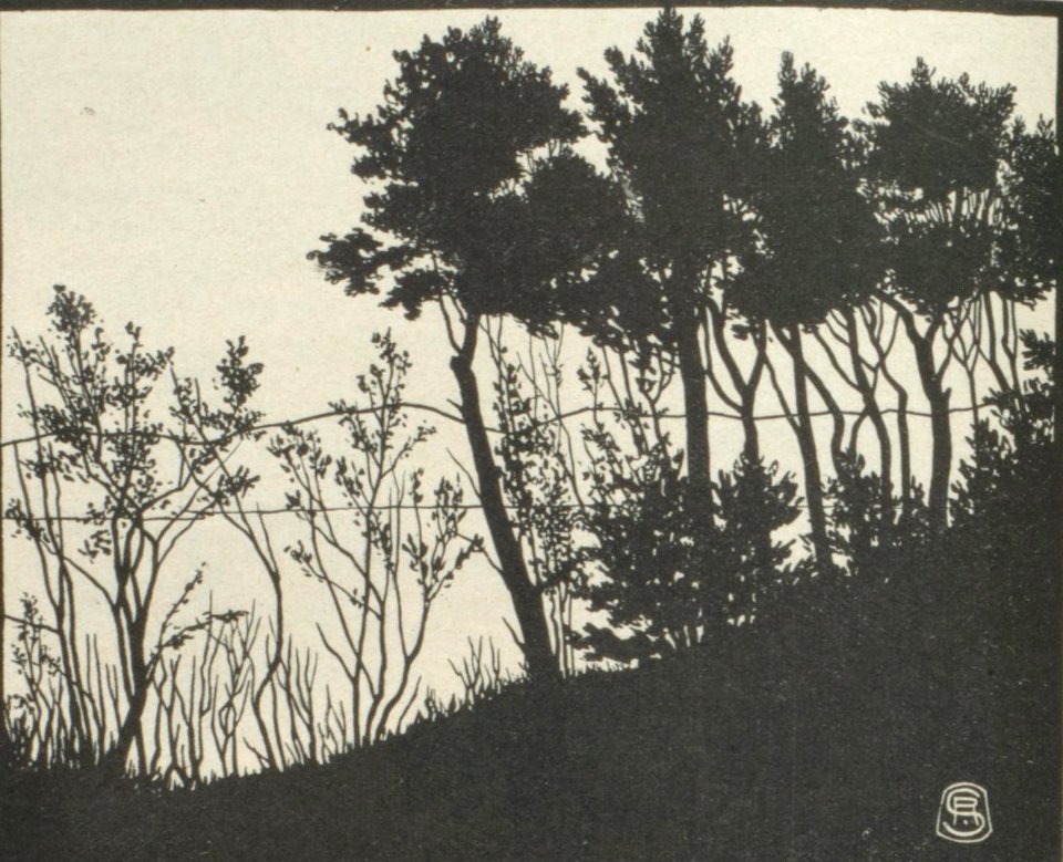 Richard Scholz Bruno Wille Einsiedelkunst aus der Kiefernheide 1897