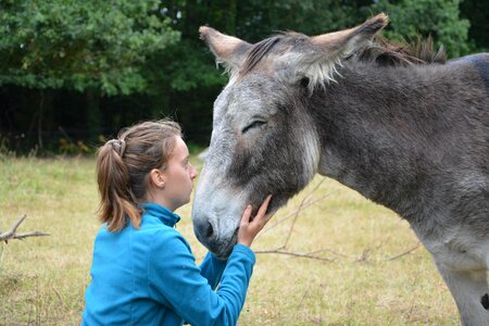 Complicity tenderness affection photo