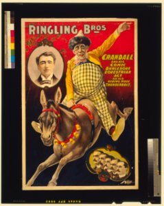 Ringling Bros.-Crandall and his comic burlesque equestrian act on his riding mule Thunderbolt - - . LCCN2002735830