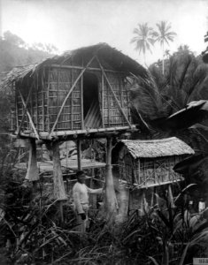 Risbodar. Nordöstra Celebes. Sulawesi, Kecamatan Lamala. Indonesien - SMVK - 000355