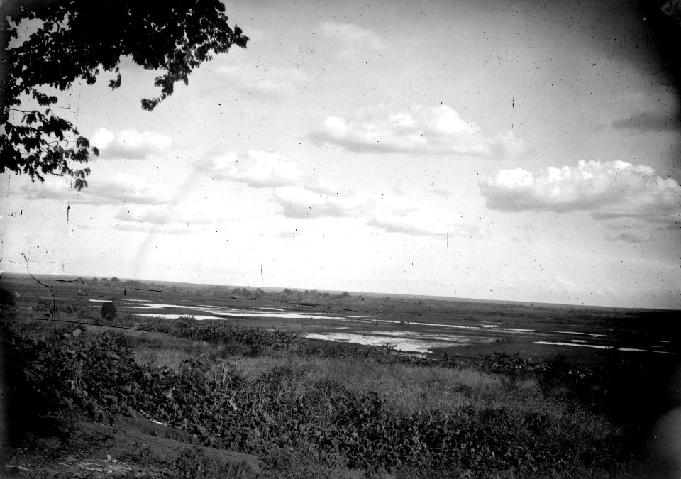 Risfält under vatten. Madagaskar - SMVK - 021894
