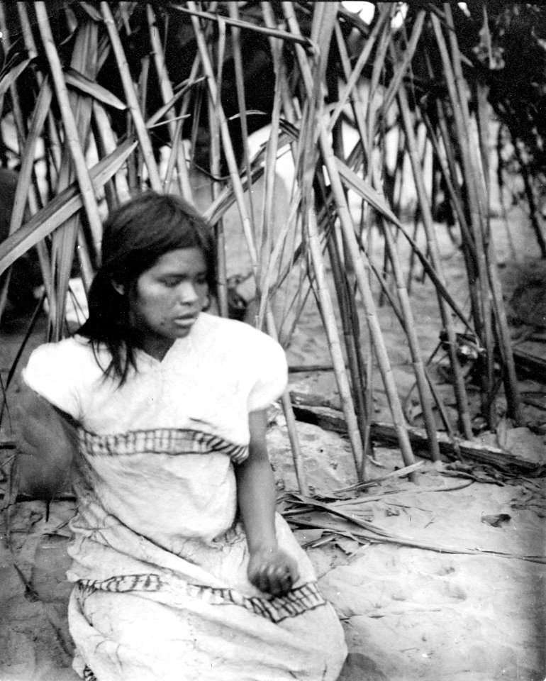 Rio Madidi, Bolivia. Chamakvinna. Rio Madidi - SMVK - 005528
