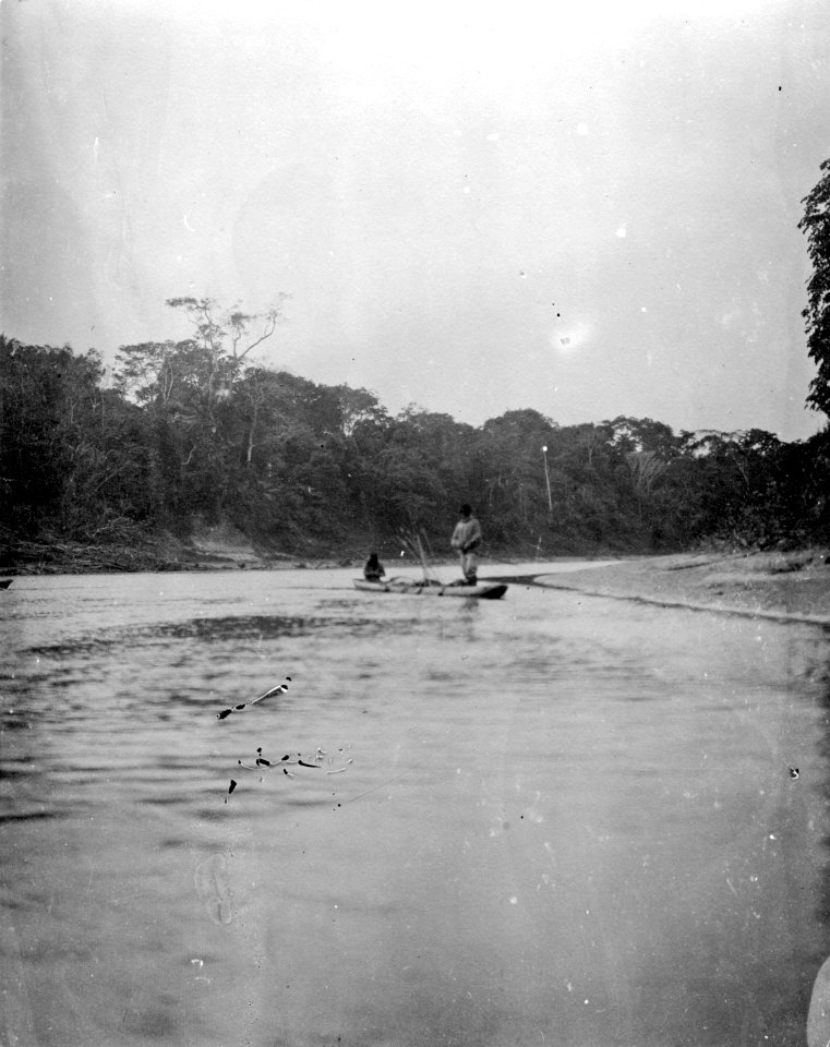 Rio Madidi, Bolivia. Flodscen. Chamakanot. Rio Madidi - SMVK - 005526