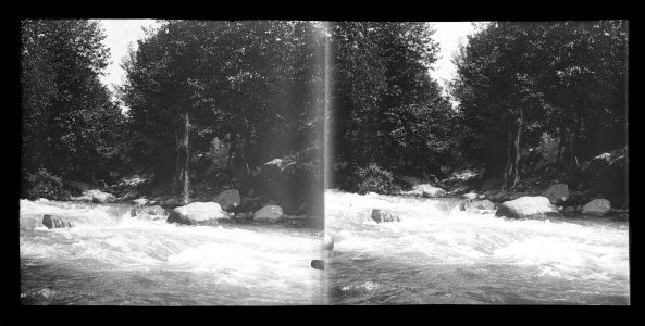 Riu Freser camí de Ribes (AFCEC BORDAS X 459)