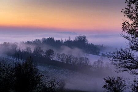 Fog sky trees photo