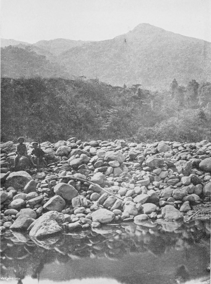 Right bank of Lakoli river, Formosa
