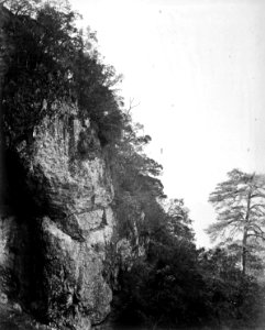 Right Shoulder of the cave in which is situated Yuen-Foo Monastery