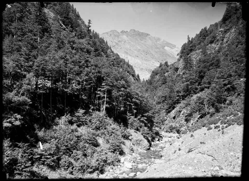 Riu voltat de boscos a la vall d'Ordiso