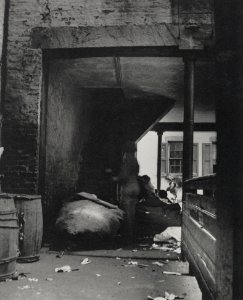Riis, Jacob A. - »Bogen unter dem Mietshaus auf der 55 Baxter Street. Führt zu den Treppen die Vinenzo Nino hinaufstieg, als er 1895 seine Frau ermordete« (Zeno Fotografie)