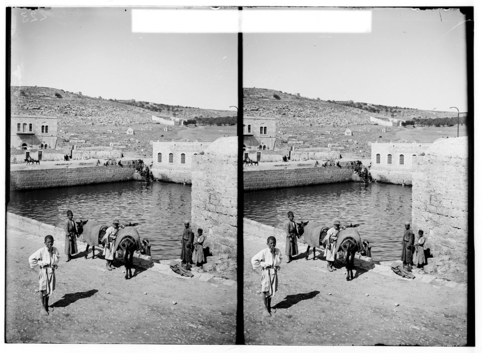 Road to Hebron, Mar Saba, etc. David's Pool. LOC matpc.00992