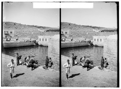 Road to Hebron, Mar Saba, etc. David's Pool. LOC matpc.00992