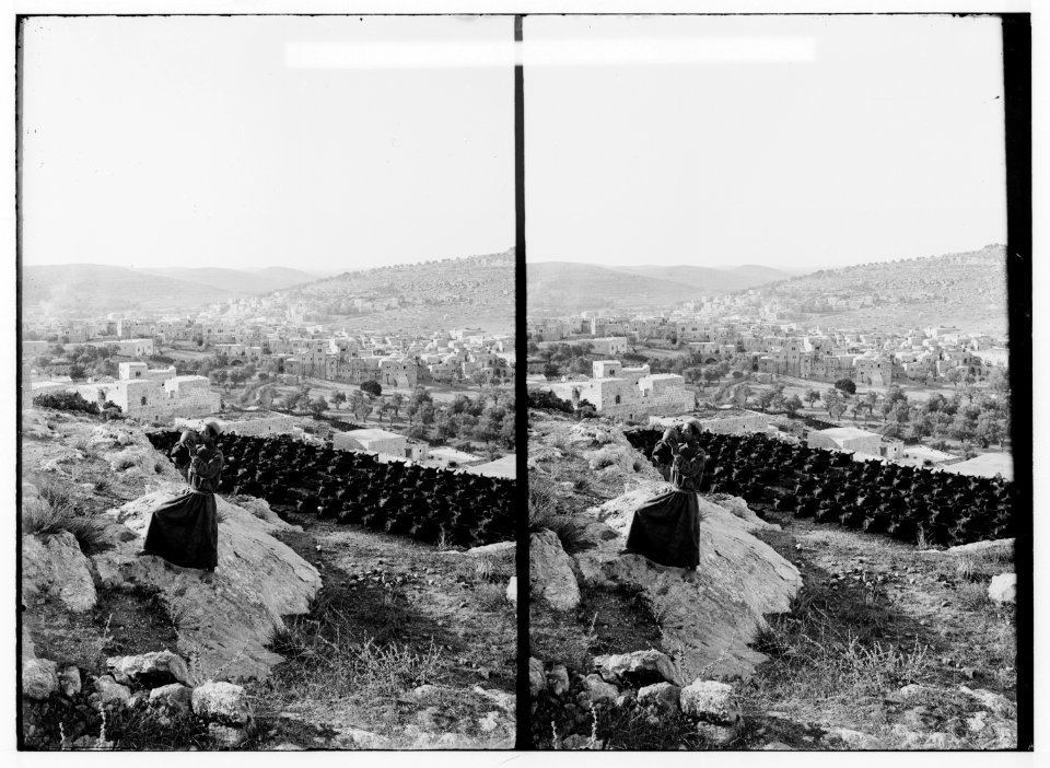 Road to Hebron, Mar Saba, etc. General view of Hebron. LOC matpc.00985
