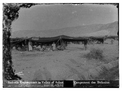 Road to Jericho (Er-Riha), etc. Valley of Achor. Bedouin camp. LOC matpc.07533