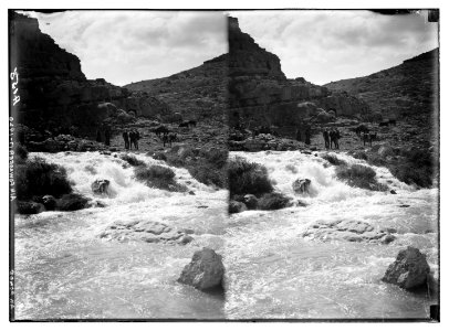 Road to Jericho, Jordan, etc. Ain Fowar, source of the Cherith. LOC matpc.05121
