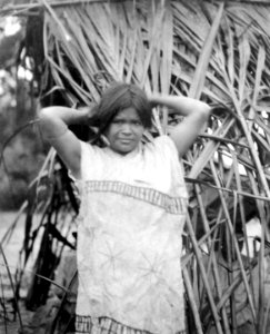 Rio Madidi, Bolivia. Chamakvinna. Rio Madidi - SMVK - 005529