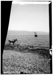 Road to Jericho, Jordan, etc. Dead Sea, showing the eastern shore LOC matpc.00038