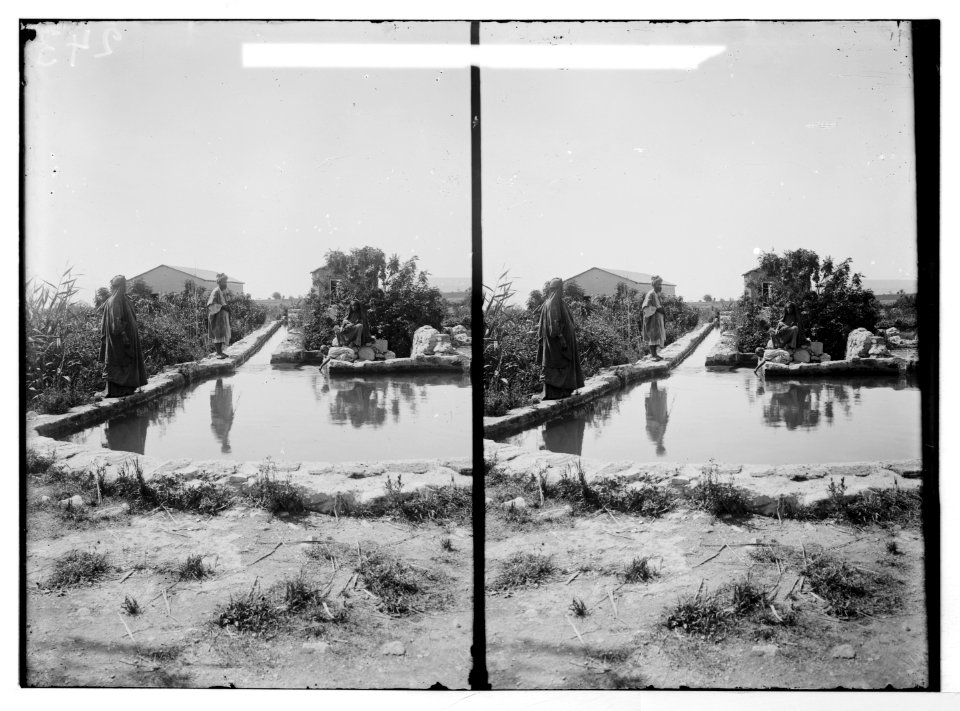 Road to Jericho, Jordan, etc. Elisha's Fountain and Mill. LOC matpc.06475