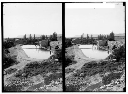 Road to Jericho, Jordan, etc. Elisha's Fountain. LOC matpc.01008