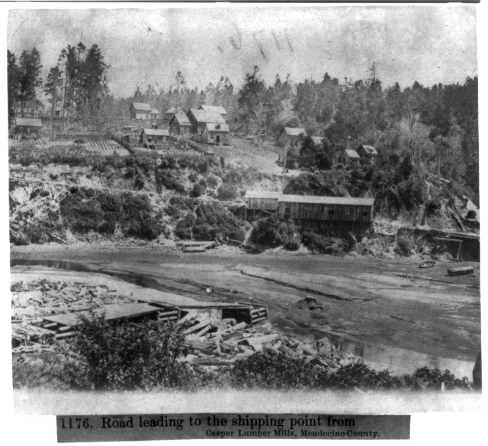 Road leading to the shipping point from Casper Lumber Mills, Mendocino County LCCN2002723579