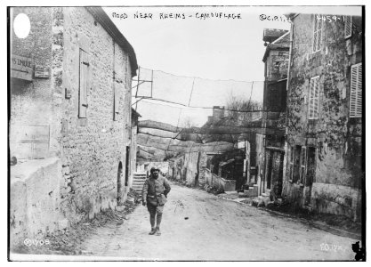 Road near Rheims - camouflage LCCN2014706188
