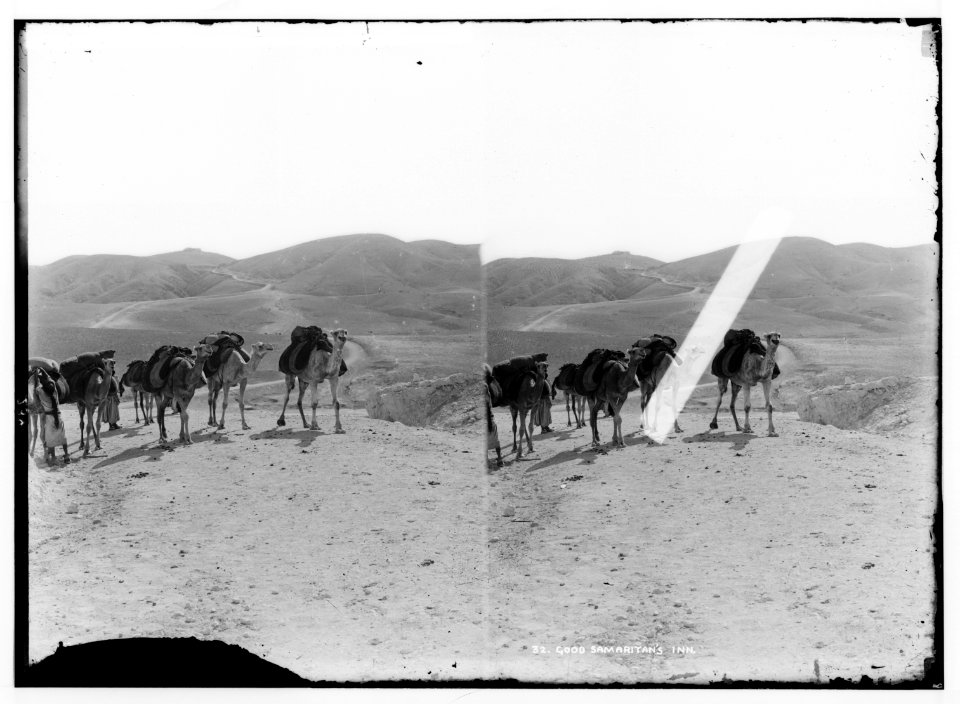 Road to Jericho, Jordan, etc. Road from Jerusalem to Jericho. LOC matpc.01002