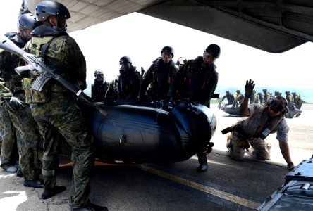 RIMPAC 2014 Helo Rope Suspension Training 140630-N-FC670-663
