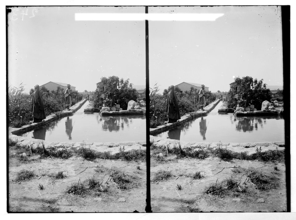 Road to Jericho, Jordan, etc. Elisha's Fountain and Mill. LOC matpc.07618
