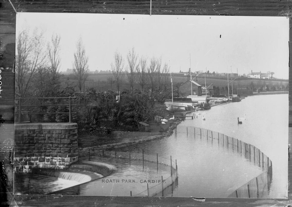 Roath Park, Cardiff (4785854)