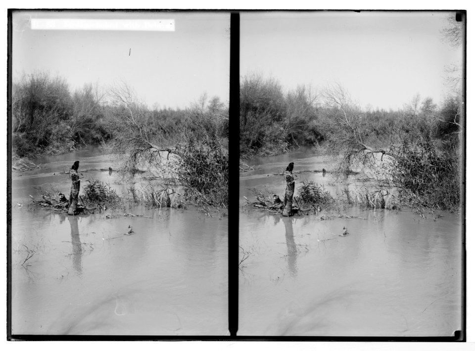 Road to Jericho, Jordan, etc. Jordan choked with debris. LOC matpc.05498