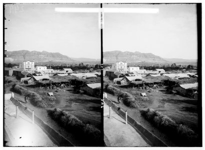 Road to Jericho, Jordan, etc. Modern Jericho. LOC matpc.01012